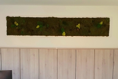 Moosbild-240x47-cm