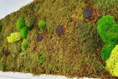 Moosbild-mit-Holz-Elementen