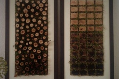Wandkunst-7